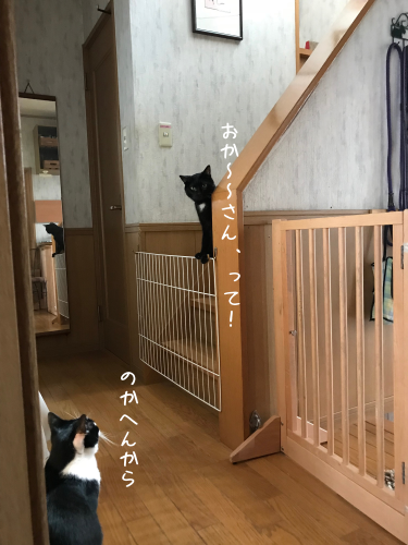 a0216583_19325827.png