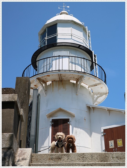 b0175688_22250700.jpg