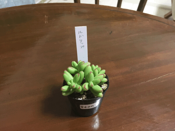 a0309389_20191925.gif