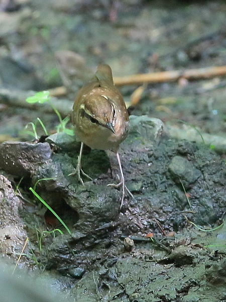 d0334291_17021037.jpg
