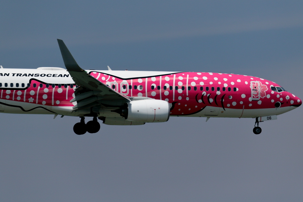 桜のマーク 南の島の飛行機日記