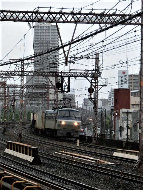 藤田八束の鉄道写真＠大自然の曲芸「鳴門の渦潮」飛行機からの写真、絶景の青島、錦江湾に映し出された桜島をカシオのデジカメでベストショット_d0181492_07455252.jpg