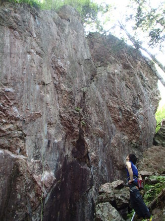 岩レポート続報