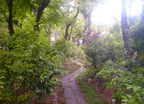 ●神社の造形―生國魂神社、その5_d0053294_00562825.jpg