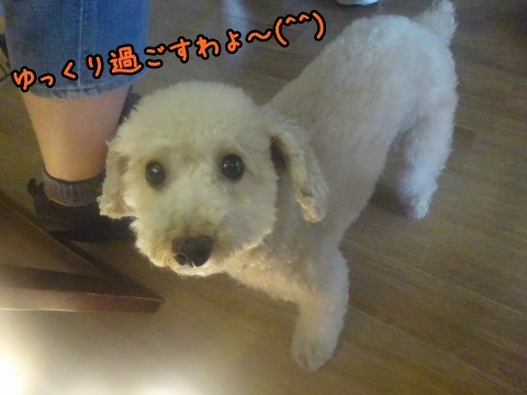 a0338800_20500101.jpg
