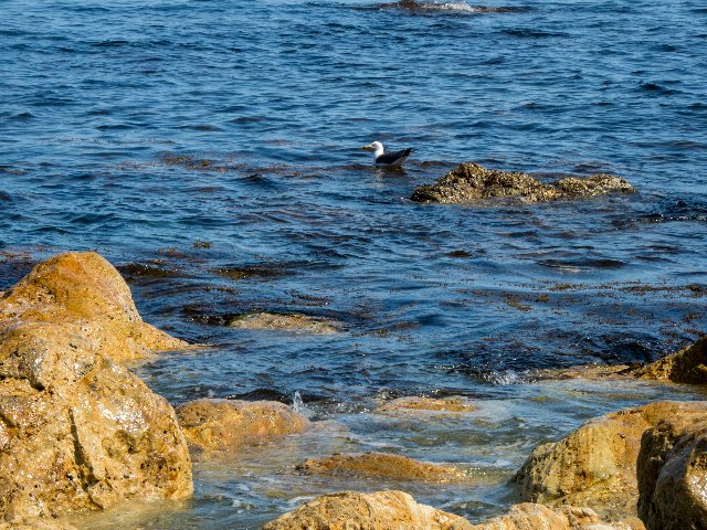 能登半島・白米千枚田を訪ねて～♪_c0008502_11424938.jpg