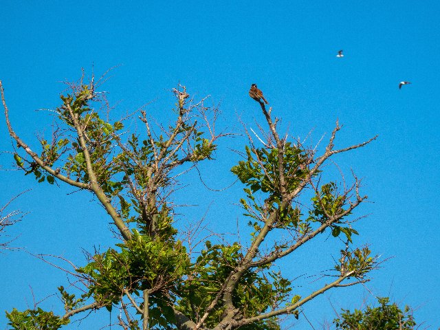 c0008502_1142849.jpg