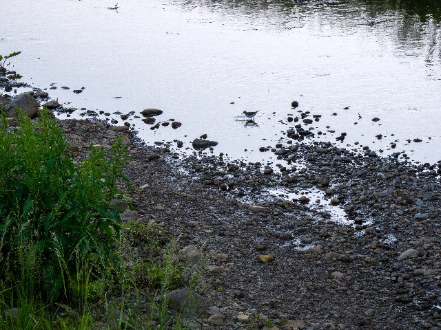 c0008502_2021319.jpg