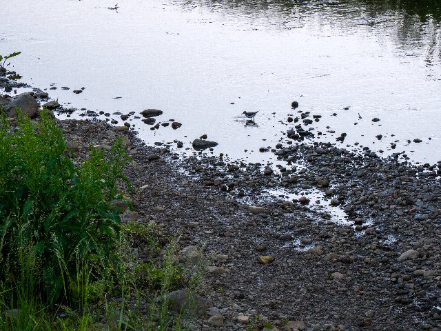 能登半島・白米千枚田を訪ねて～♪_c0008502_2021319.jpg