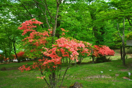 a0263109_21052834.jpg