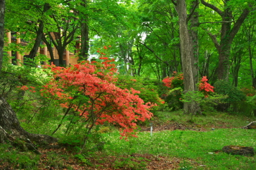a0263109_21053085.jpg