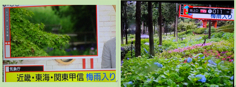 f0231709_18505605.gif