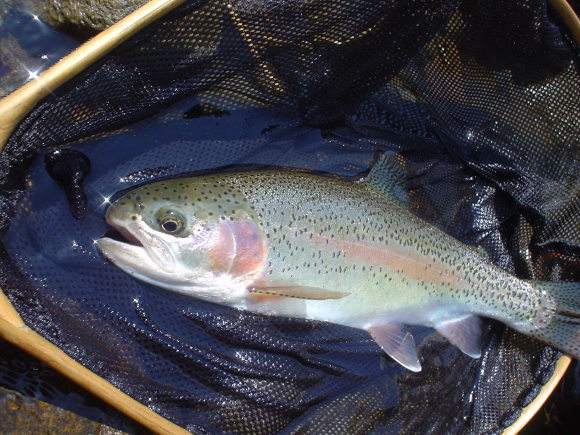 f0280717_18442202.jpg