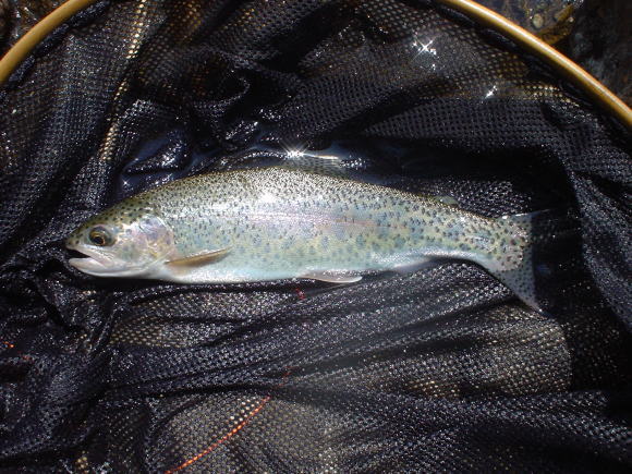 f0280717_18464970.jpg