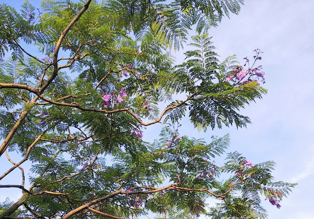 a0098418_23161081.jpg