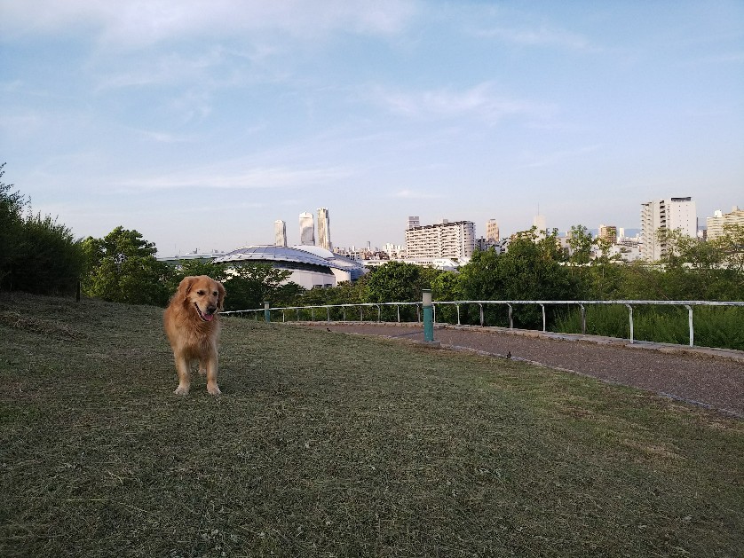 a0098418_23161092.jpg