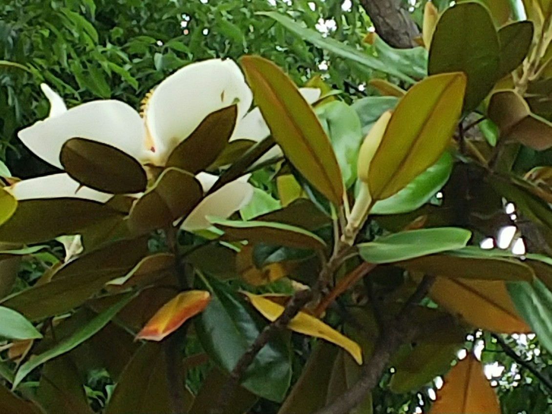 a0098418_23202339.jpg