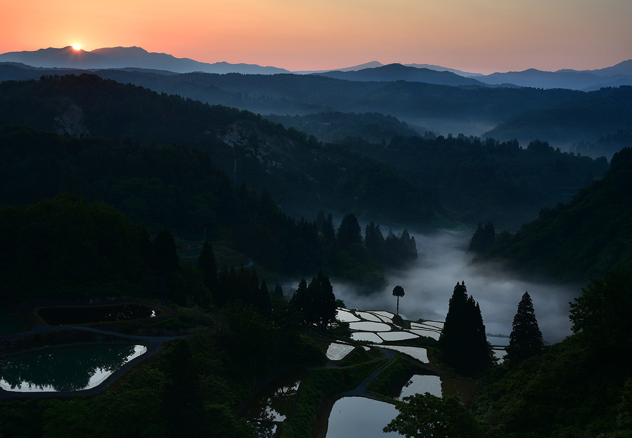 山古志棚田棚池 写日記