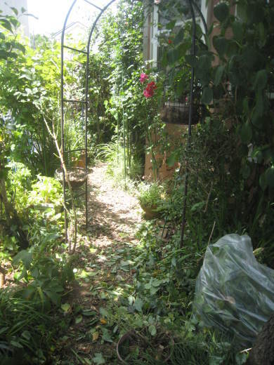 f0166824_16432818.jpg