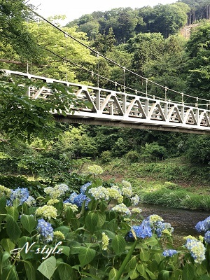 a0165529_18035555.jpeg