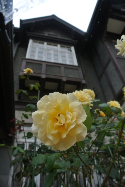 b0312230_23145448.jpg