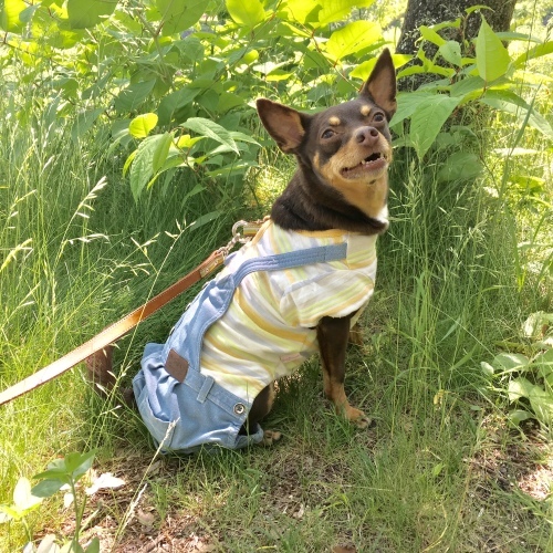 a0291132_17003640.jpeg