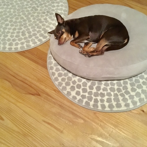 a0291132_17013173.jpeg
