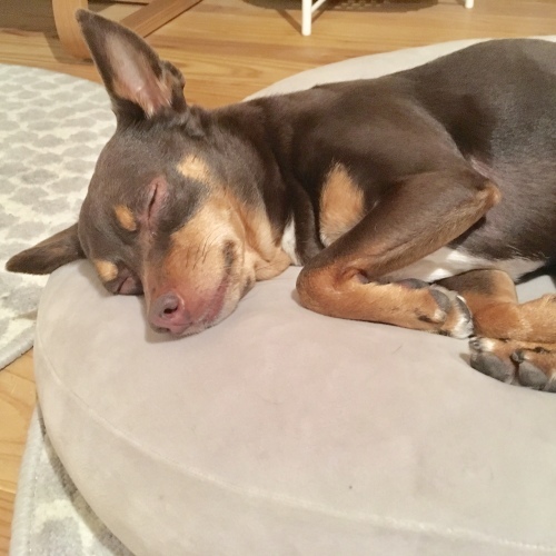a0291132_17014132.jpeg