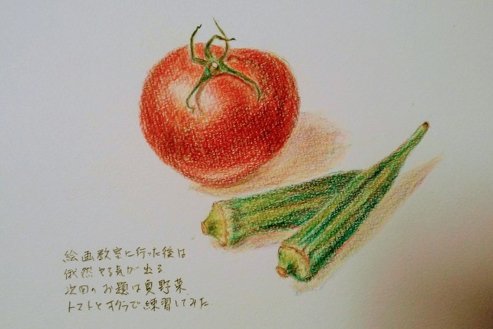 夏野菜の練習 メルと歩けば