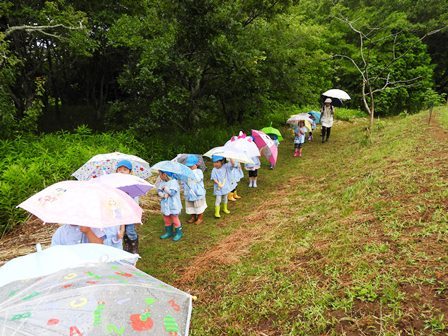 梅雨入り_a0123836_15131766.jpg