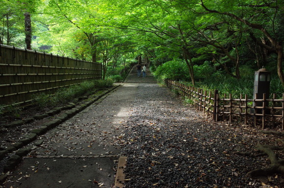 a0287336_23083523.jpg