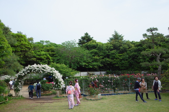 a0287336_23095085.jpg