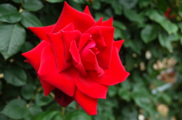 a0287336_23100352.jpg