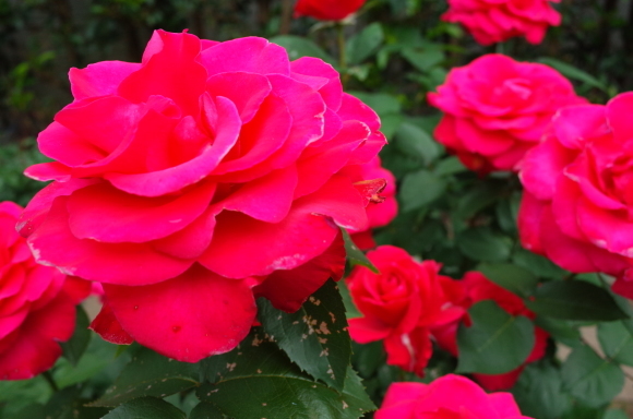 a0287336_23103516.jpg