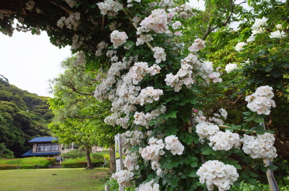 a0287336_23110901.jpg