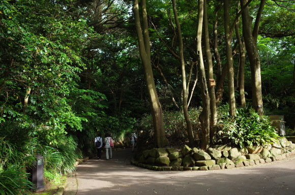 a0287336_23114082.jpg