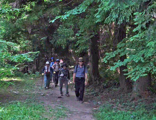 ☆高野山町石道の一部を歩く と き：５月２７日（日）_e0371039_992765.gif