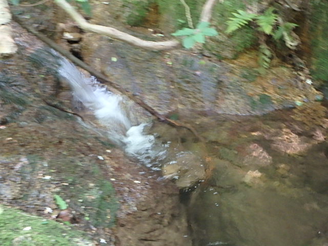 f0334143_20171145.jpg