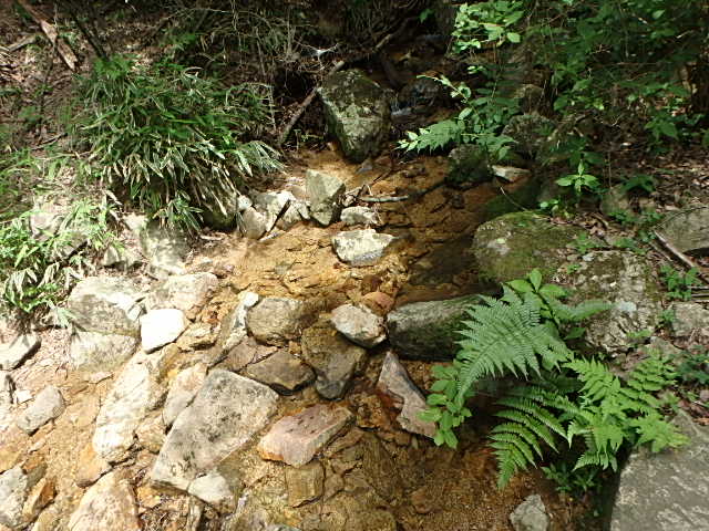 f0334143_20173697.jpg