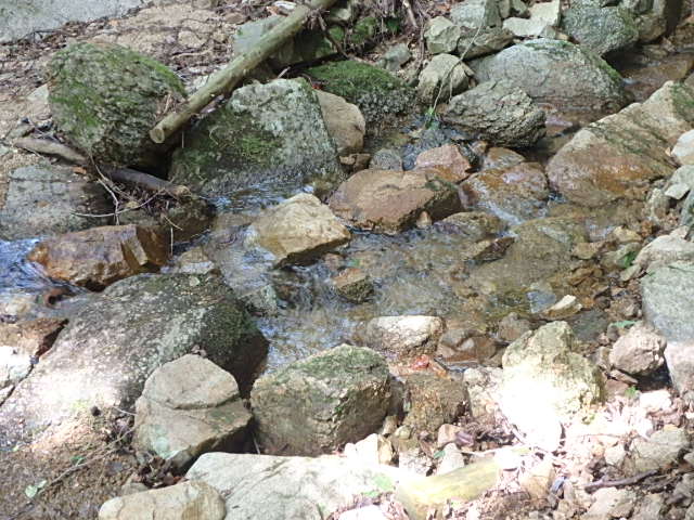 f0334143_20181971.jpg