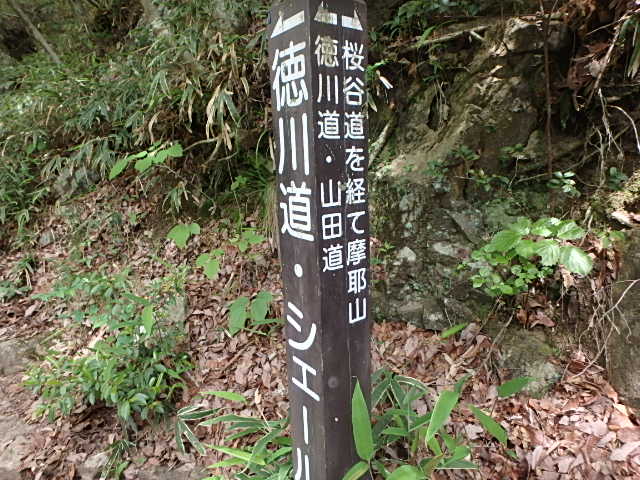 f0334143_20184634.jpg