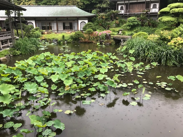 c0343447_17131562.jpg