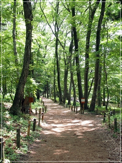 d0013149_23143228.jpg