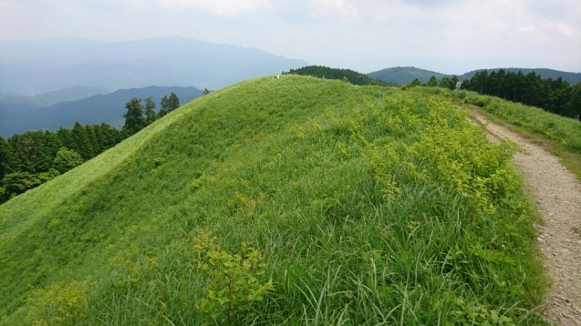 b0148050_20071696.jpg