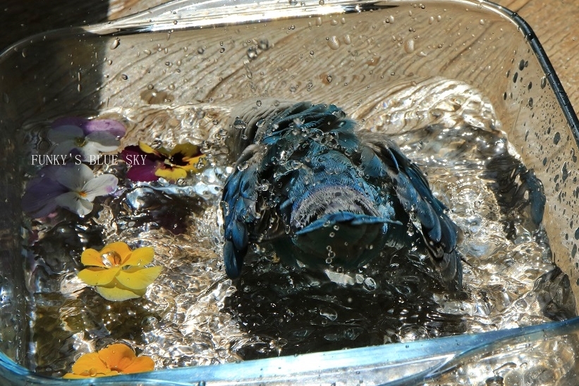 c0145250_11282601.jpg