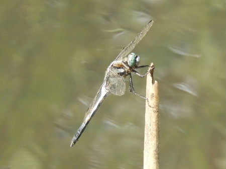 e0172950_21175674.jpg