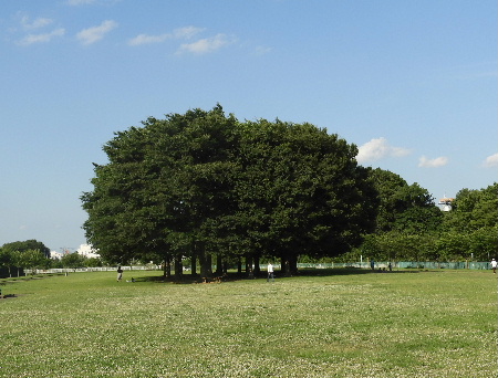e0172950_2117760.jpg