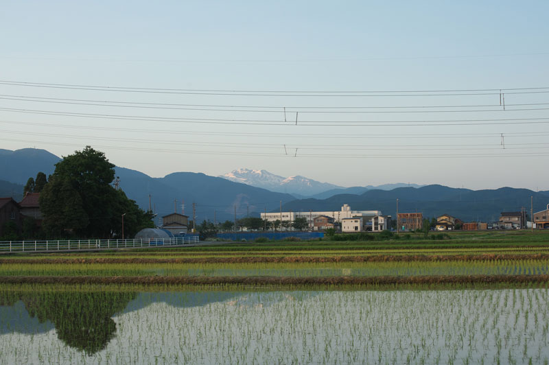 d0342652_1021423.jpg