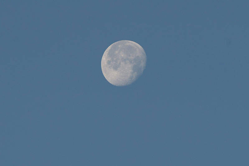 d0342652_10231883.jpg