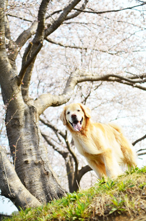 撮影時の表情_f0044853_17185905.jpg